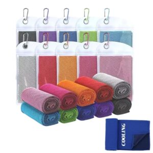 Super Absorbent Microfiber Towelwith Carry Bag
